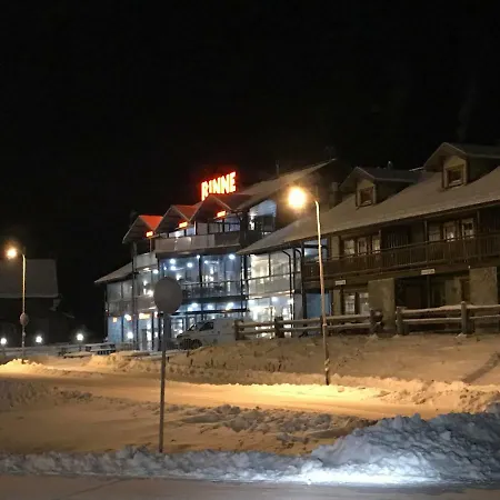 Nina's 160m2, City, Include X2 Himos Skipass * Jämsä