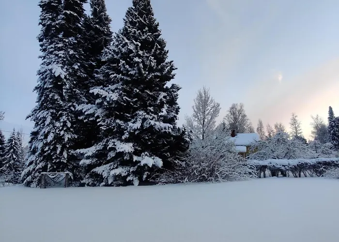 Nina's 160m2, City, Include X2 Himos Skipass *